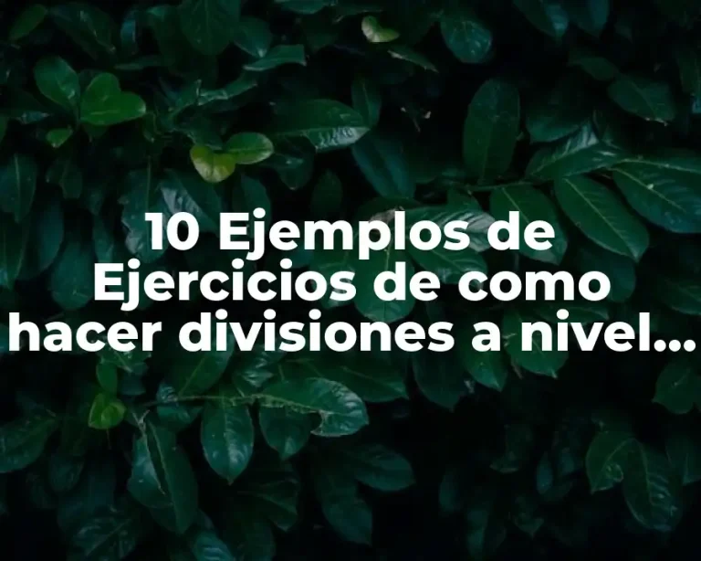 10 Ejemplos de Ejercicios de como hacer divisiones a nivel primaria