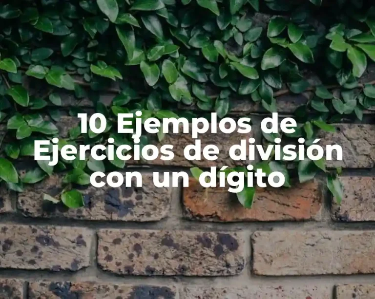 10 Ejemplos de Ejercicios de división con un dígito