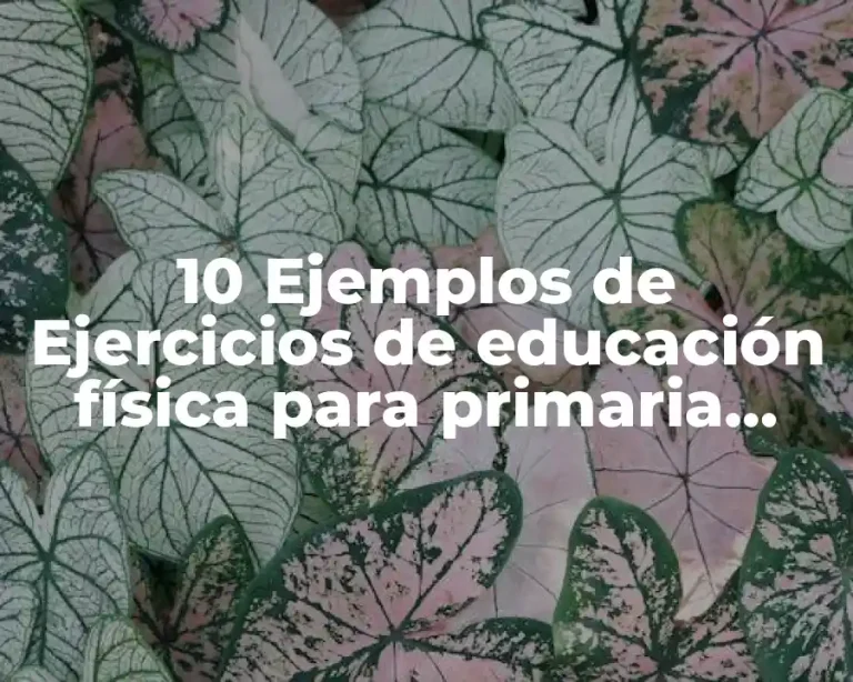 10 Ejemplos de Ejercicios de educación física para primaria sexto