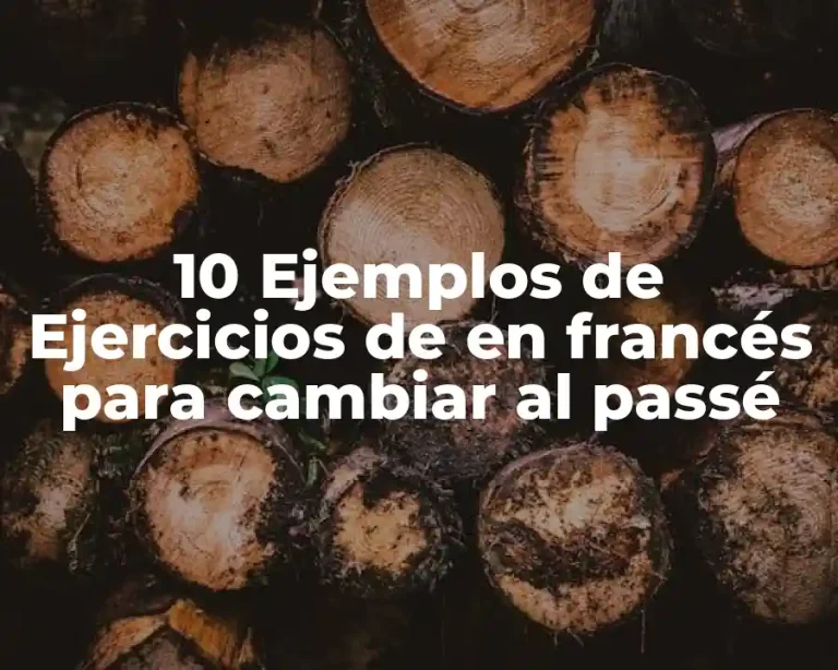 10 Ejemplos de Ejercicios de en francés para cambiar al passé