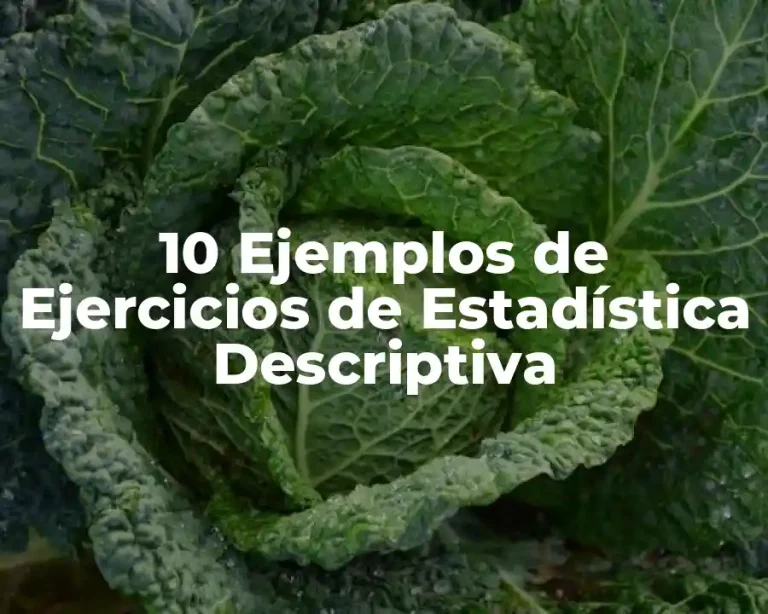 10 Ejemplos de Ejercicios de Estadística Descriptiva