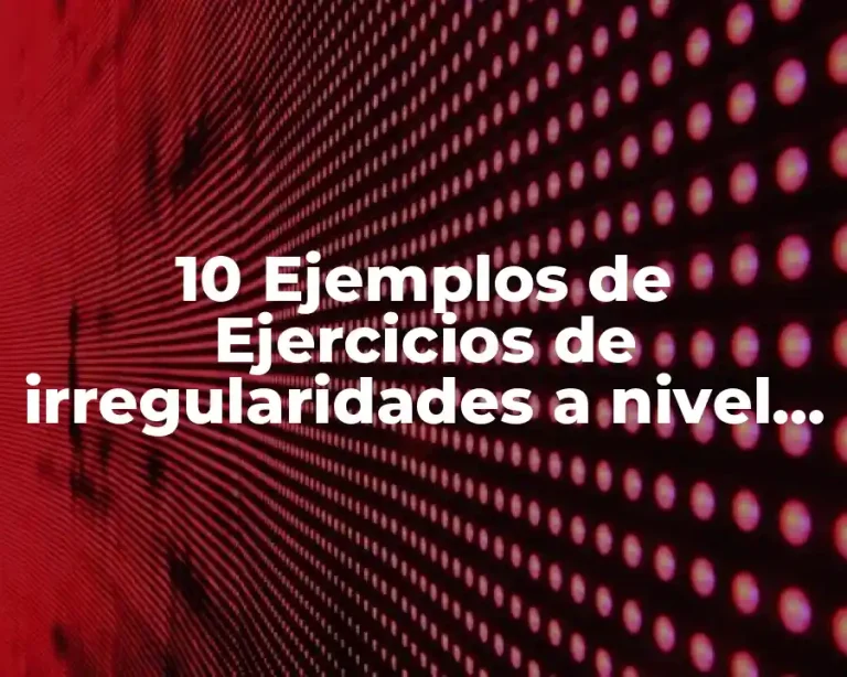 10 Ejemplos de Ejercicios de irregularidades a nivel aduanero