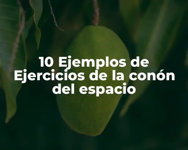 10 Ejemplos de Ejercicios de la conón del espacio