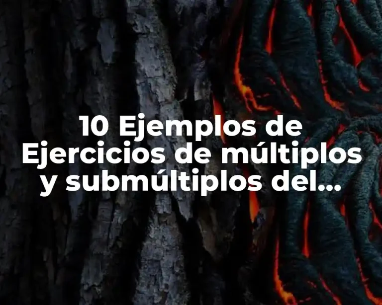 10 Ejemplos de Ejercicios de múltiplos y submúltiplos del metro cuadrado