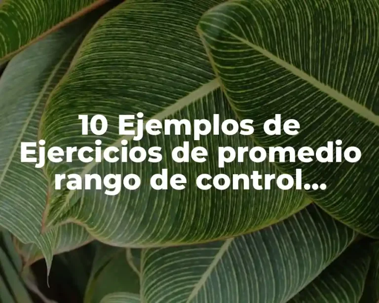 10 Ejemplos de Ejercicios de promedio rango de control estadístico