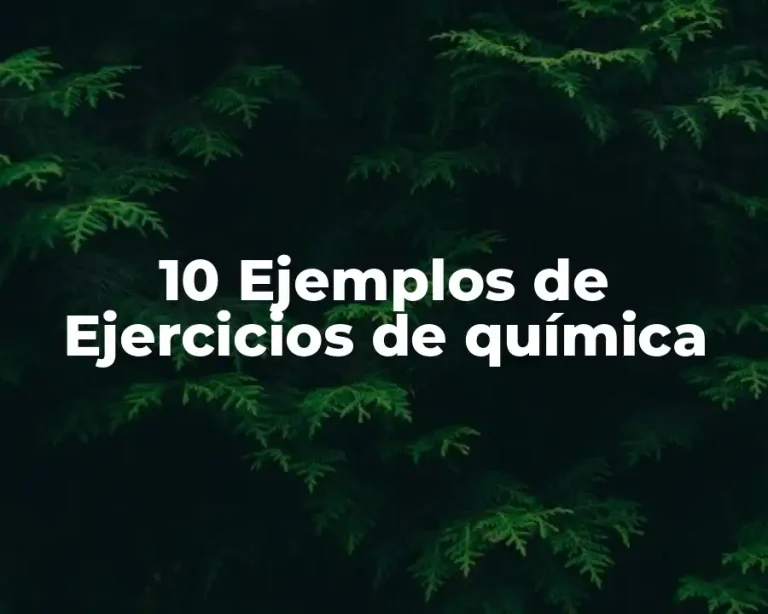 10 Ejemplos de Ejercicios de química