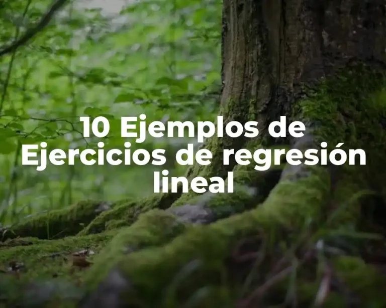 10 Ejemplos de Ejercicios de regresión lineal