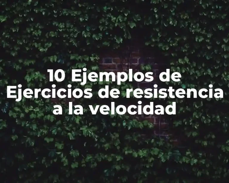 10 Ejemplos de Ejercicios de resistencia a la velocidad