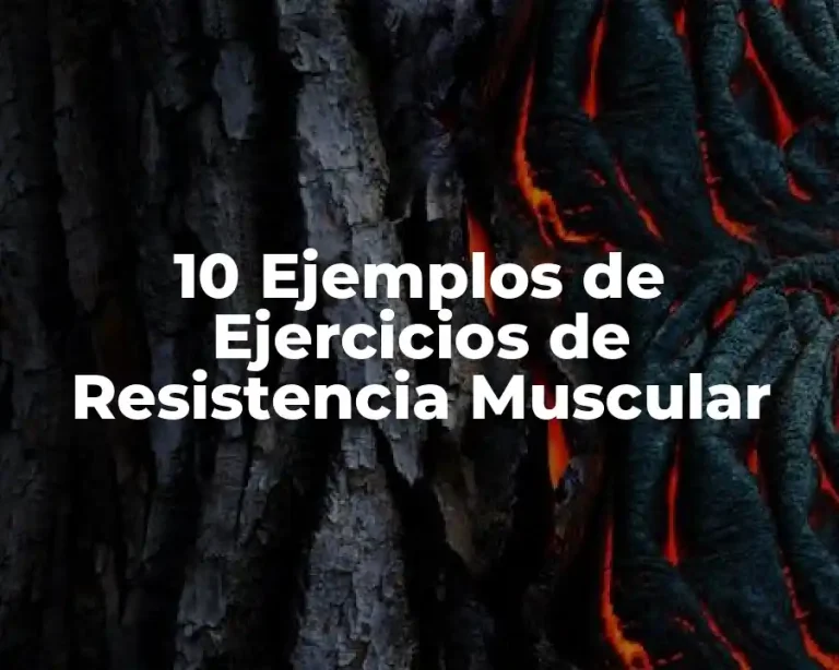 10 Ejemplos de Ejercicios de Resistencia Muscular