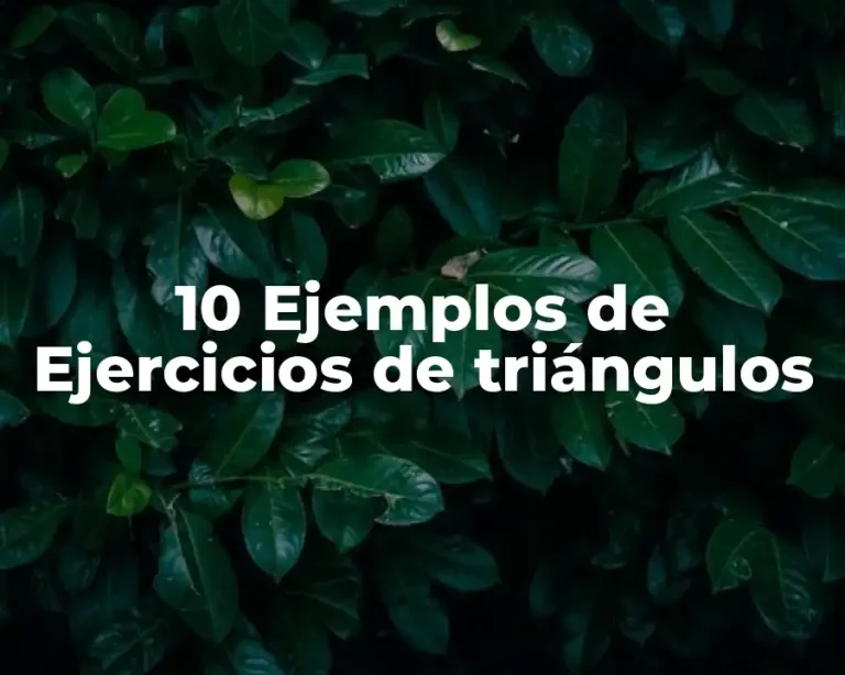 10 Ejemplos de Ejercicios de triángulos