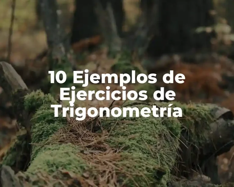10 Ejemplos de Ejercicios de Trigonometría