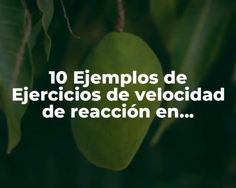 10 Ejemplos de Ejercicios de velocidad de reacción en educación física
