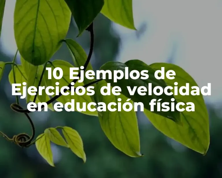 10 Ejemplos de Ejercicios de velocidad en educación física