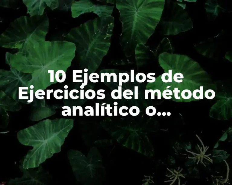 10 Ejemplos de Ejercicios del método analítico o pormenorizado