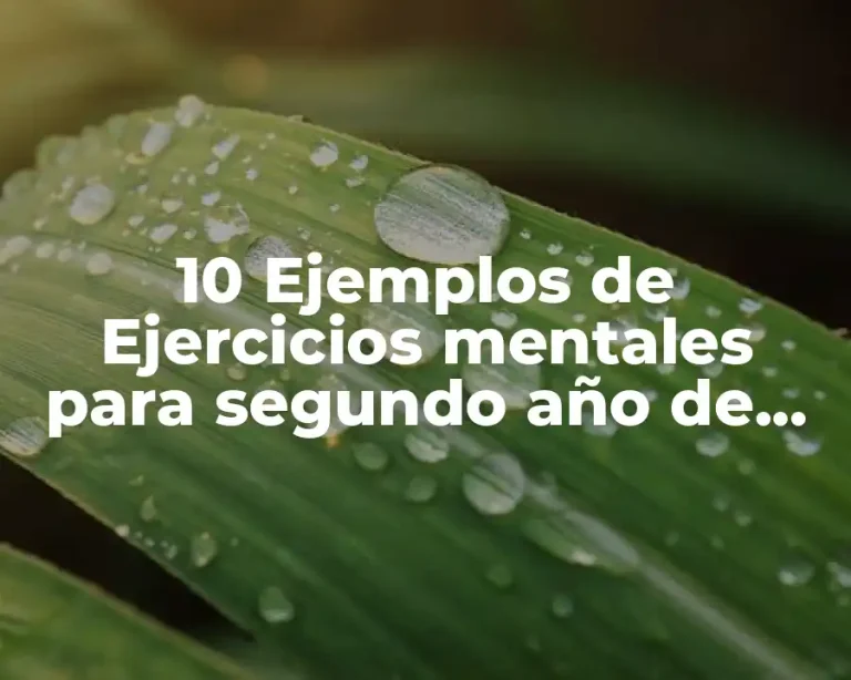10 Ejemplos de Ejercicios mentales para segundo año de primaria