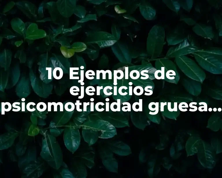 10 Ejemplos de ejercicios psicomotricidad gruesa para trabajar en matemáticas