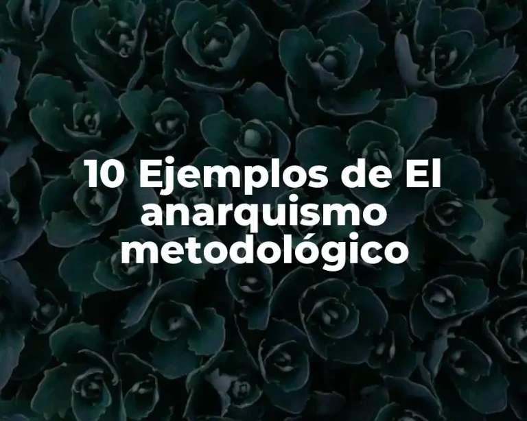10 Ejemplos de El anarquismo metodológico