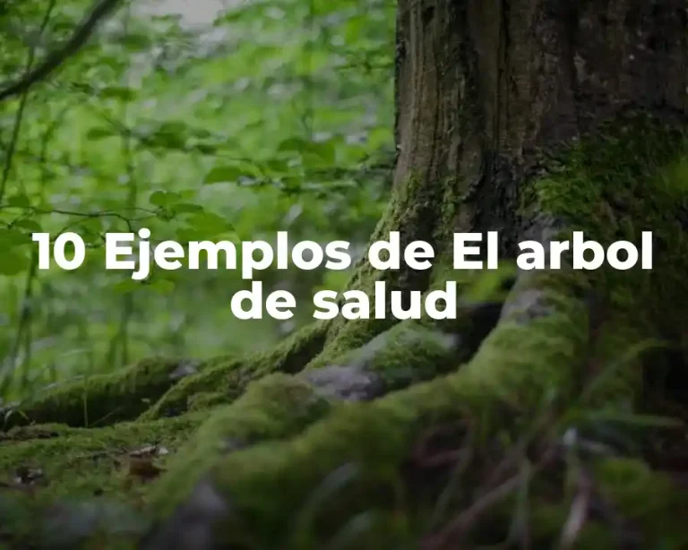 10 Ejemplos de El arbol de salud