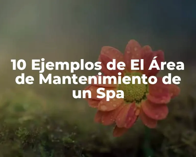 10 Ejemplos de El Área de Mantenimiento de un Spa