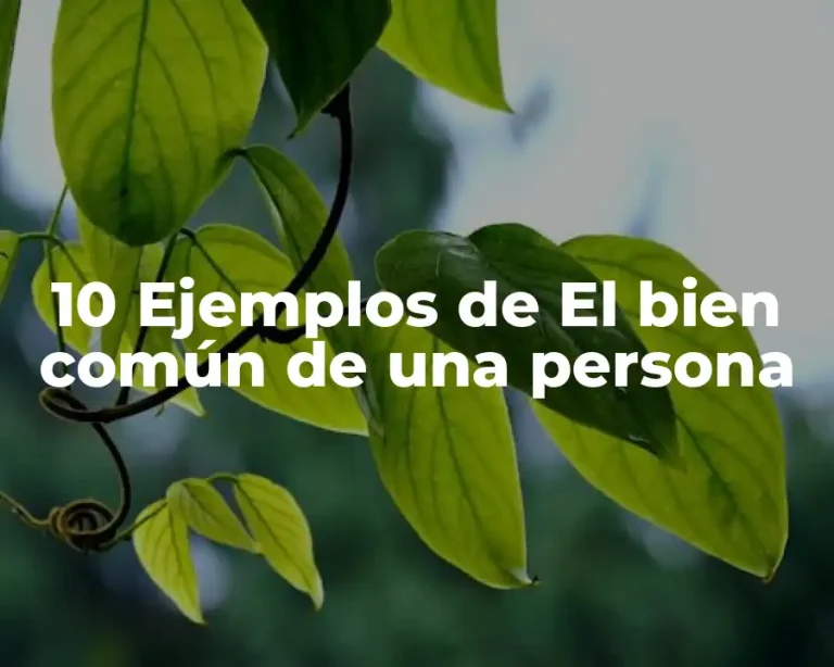 10 Ejemplos de El bien común de una persona
