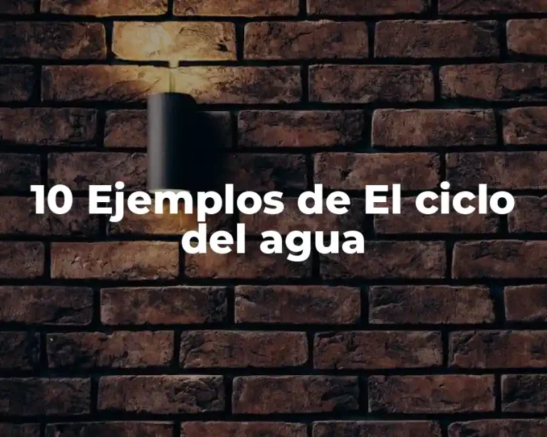 10 Ejemplos de El ciclo del agua