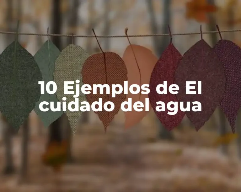 10 Ejemplos de El cuidado del agua