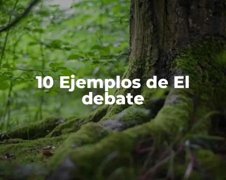 10 Ejemplos de El debate