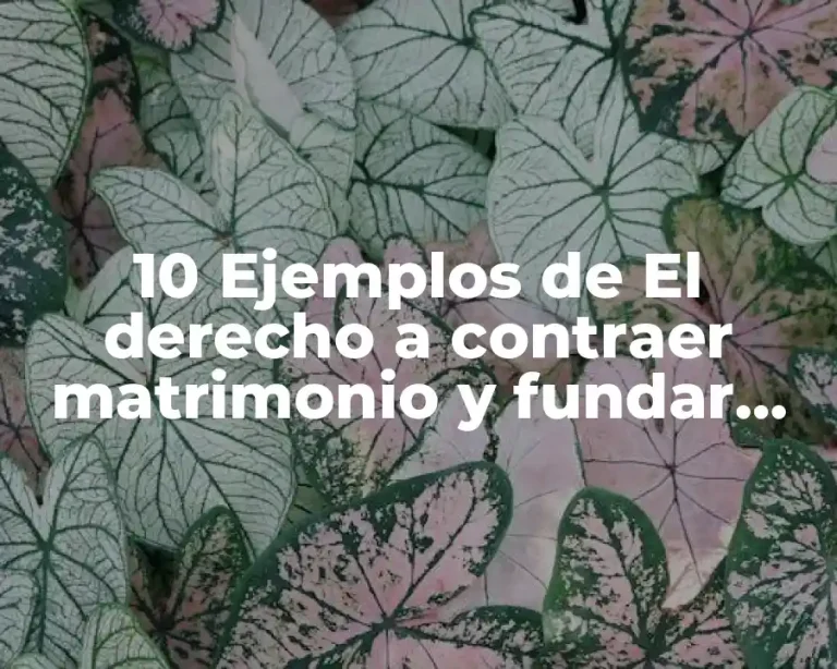 10 Ejemplos de El derecho a contraer matrimonio y fundar una familia