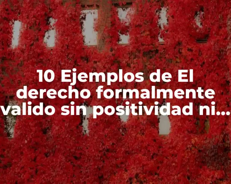10 Ejemplos de El derecho formalmente valido sin positividad ni valor intrinseco