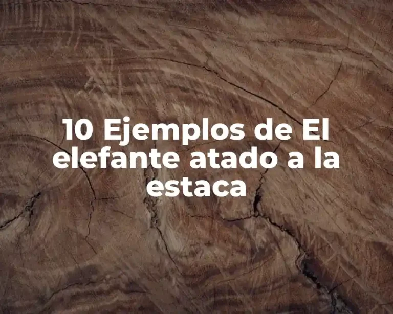 10 Ejemplos de El elefante atado a la estaca