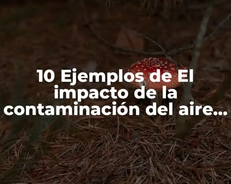 10 Ejemplos de El impacto de la contaminación del aire en la salud humana