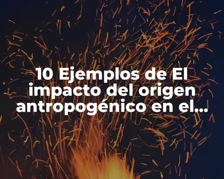 10 Ejemplos de El impacto del origen antropogénico en el medio ambiente