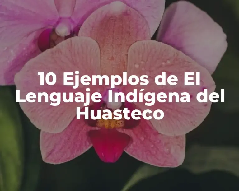 10 Ejemplos de El Lenguaje Indígena del Huasteco