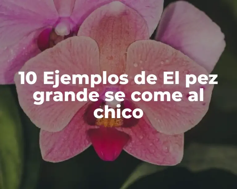 10 Ejemplos de El pez grande se come al chico