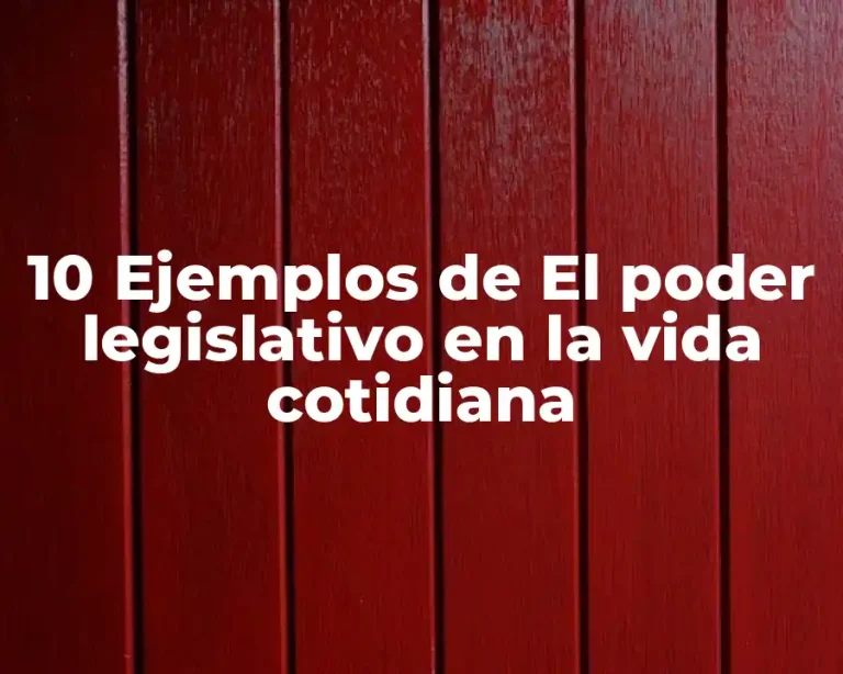 10 Ejemplos de El poder legislativo en la vida cotidiana