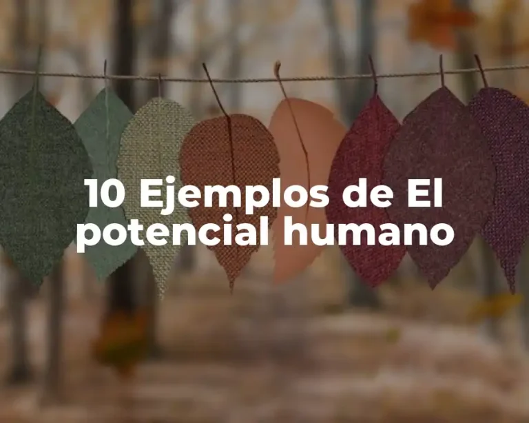 10 Ejemplos de El potencial humano
