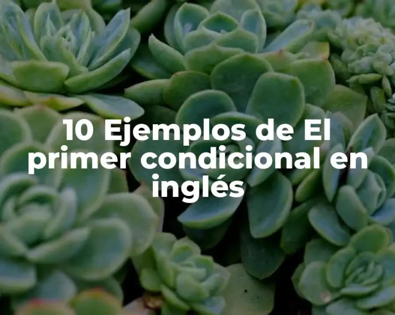 10 Ejemplos de El primer condicional en inglés