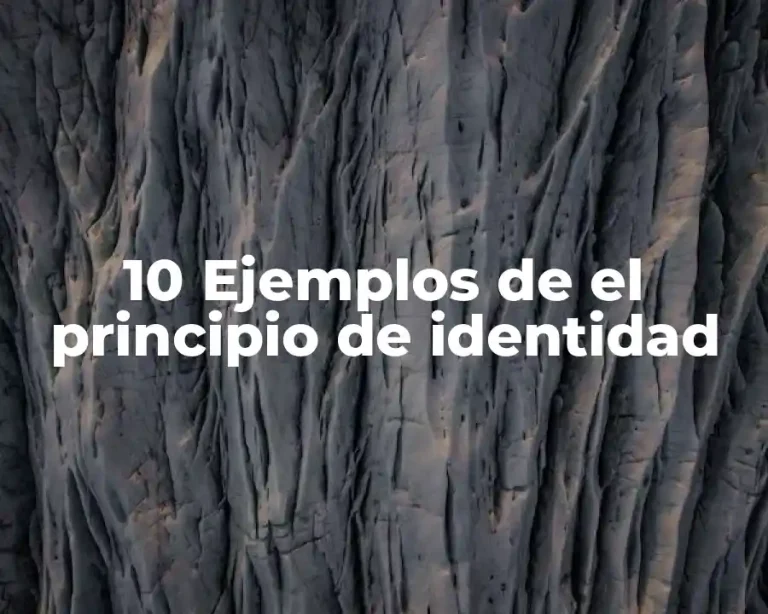 10 Ejemplos de el principio de identidad