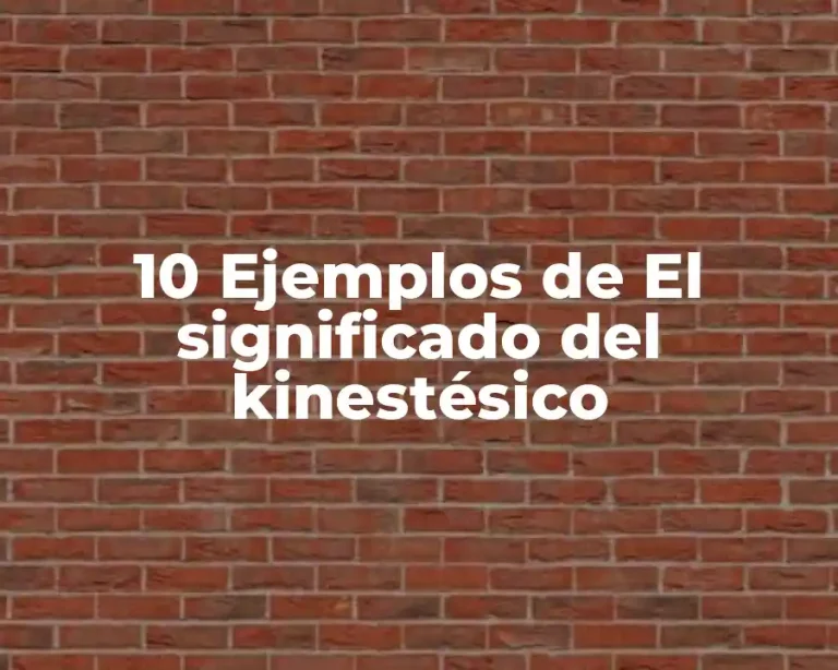 10 Ejemplos de El significado del kinestésico