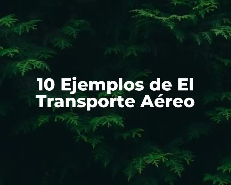 10 Ejemplos de El Transporte Aéreo