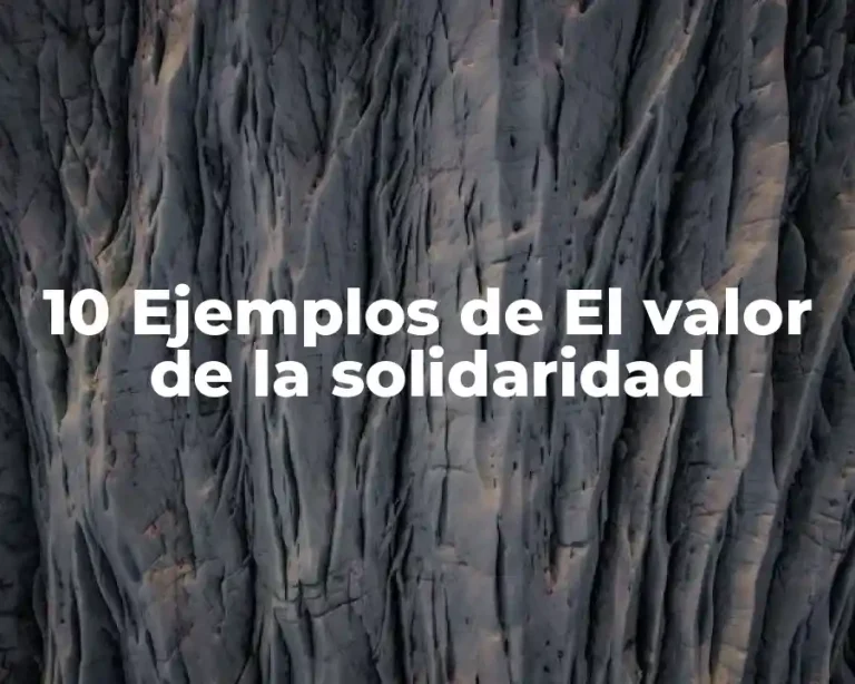 10 Ejemplos de El valor de la solidaridad