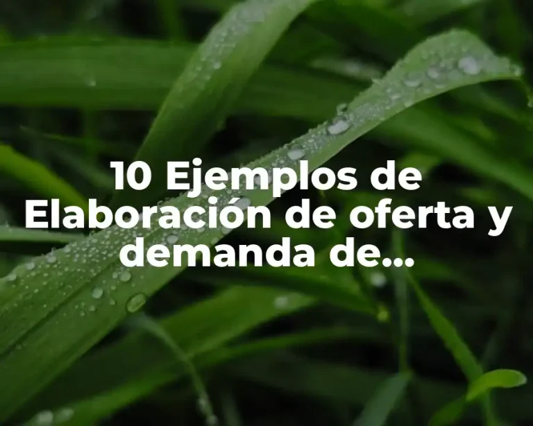 10 Ejemplos de Elaboración de oferta y demanda de cubrebocas escolares