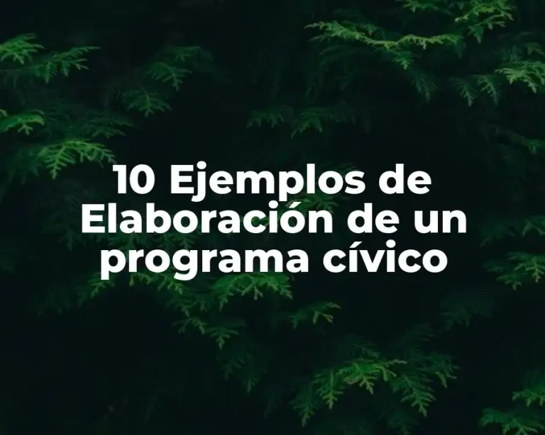 10 Ejemplos de Elaboración de un programa cívico