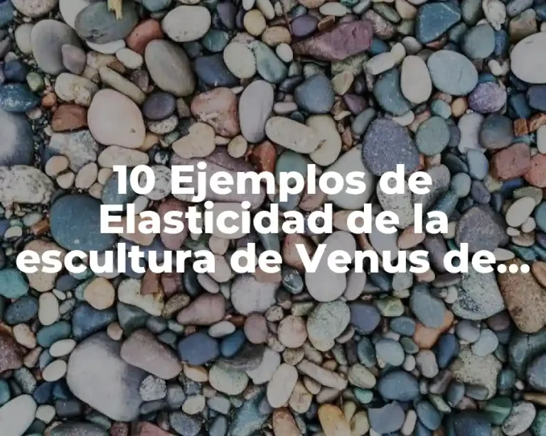 10 Ejemplos de Elasticidad de la escultura de Venus de Milo