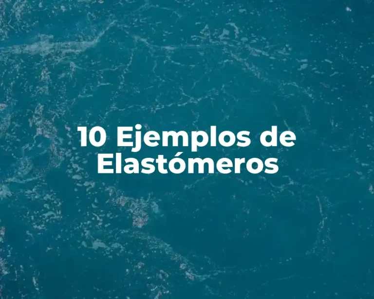 10 Ejemplos de Elastómeros