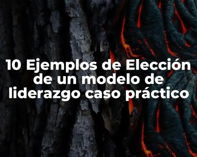 10 Ejemplos de Elección de un modelo de liderazgo caso práctico
