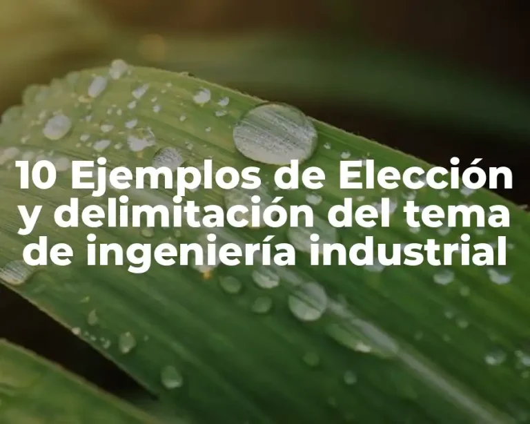 10 Ejemplos de Elección y delimitación del tema de ingeniería industrial