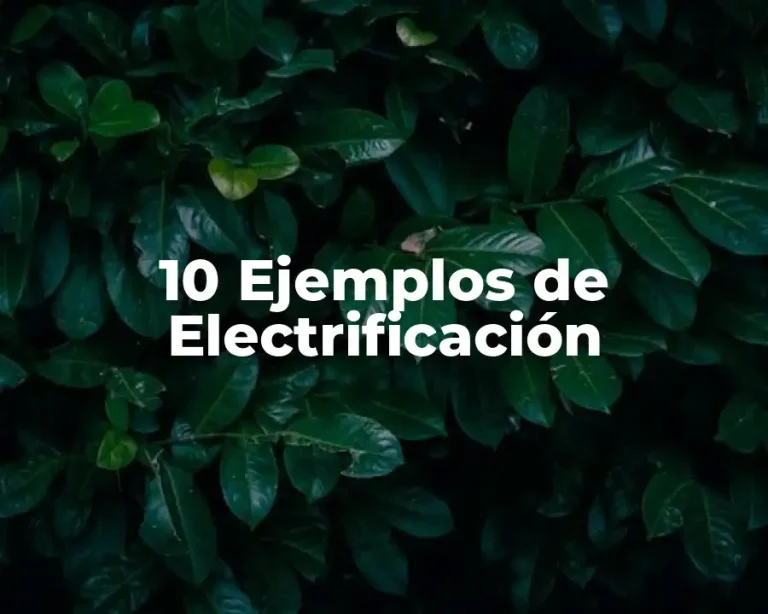 10 Ejemplos de Electrificación
