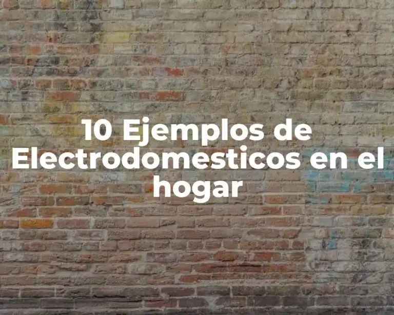 10 Ejemplos de Electrodomesticos en el hogar