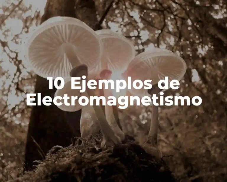 10 Ejemplos de Electromagnetismo